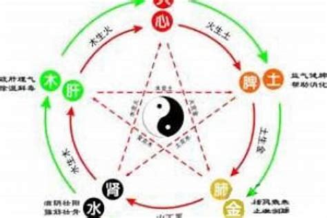 老虎五行|虎字的五行属什么